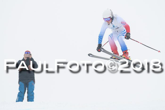 Int. FIS Rennen + NJC Damen, SG, Götschen, 22.02.2018