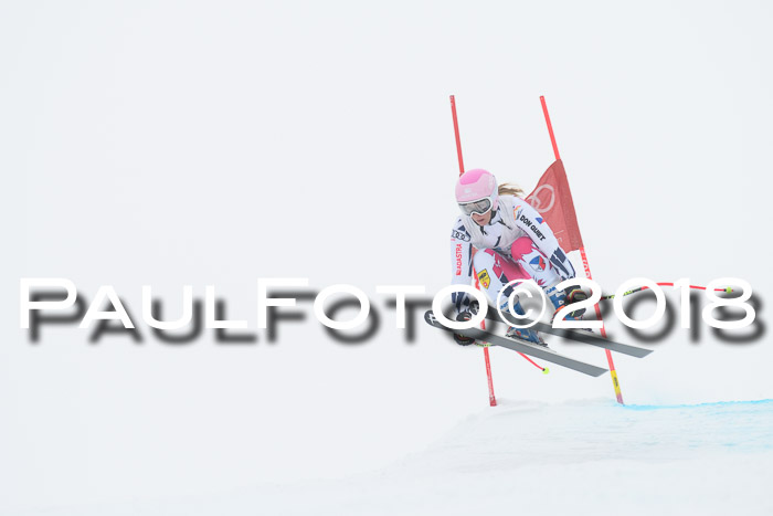 Int. FIS Rennen + NJC Damen, SG, Götschen, 22.02.2018