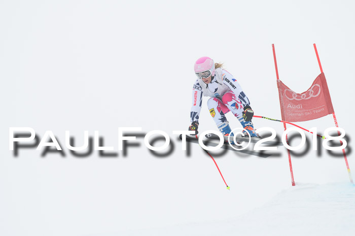 Int. FIS Rennen + NJC Damen, SG, Götschen, 22.02.2018