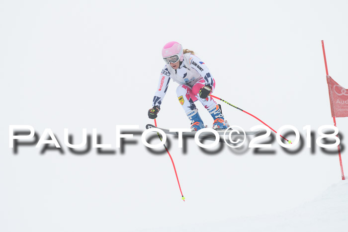 Int. FIS Rennen + NJC Damen, SG, Götschen, 22.02.2018