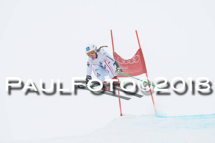 Int. FIS Rennen + NJC Damen, SG, Götschen, 22.02.2018