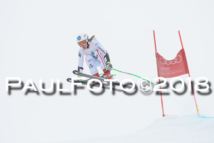 Int. FIS Rennen + NJC Damen, SG, Götschen, 22.02.2018