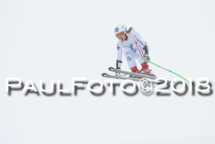 Int. FIS Rennen + NJC Damen, SG, Götschen, 22.02.2018