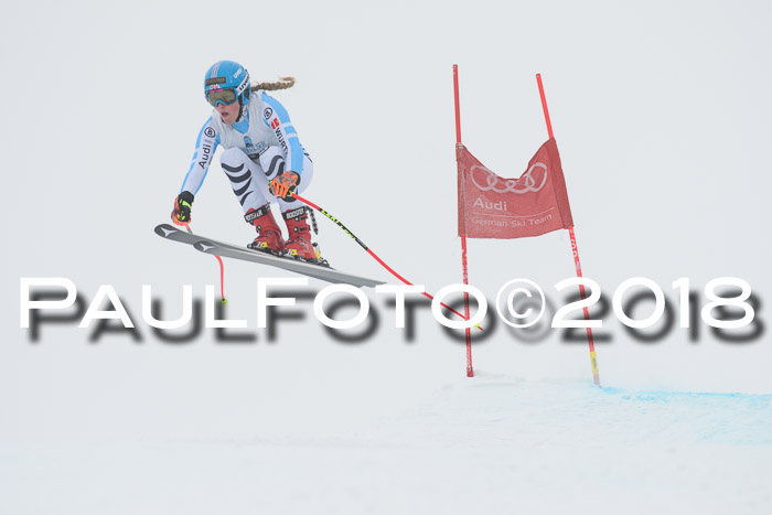 Int. FIS Rennen + NJC Damen, SG, Götschen, 22.02.2018