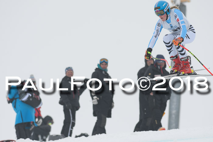 Int. FIS Rennen + NJC Damen, SG, Götschen, 22.02.2018