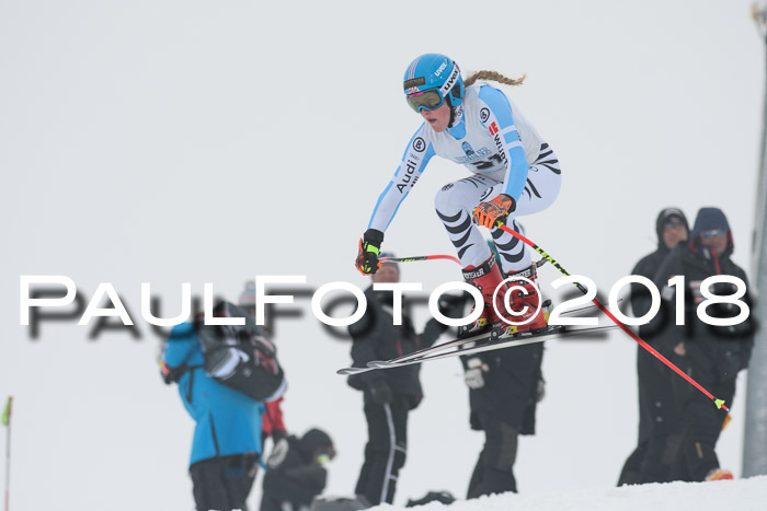Int. FIS Rennen + NJC Damen, SG, Götschen, 22.02.2018