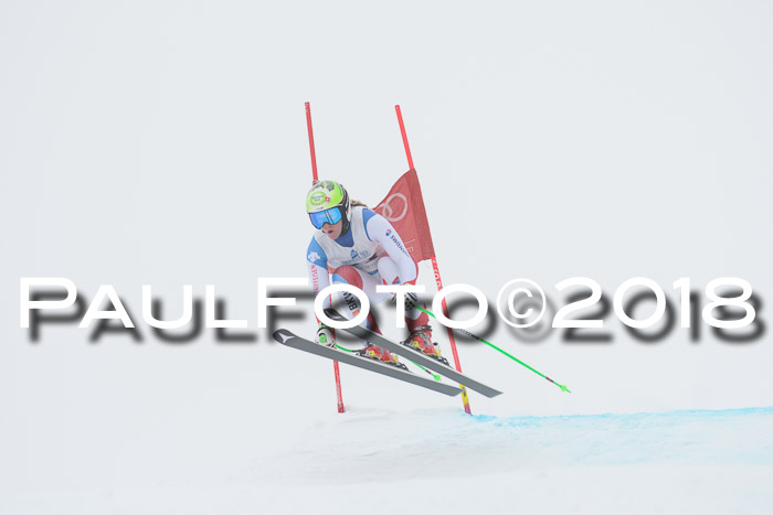 Int. FIS Rennen + NJC Damen, SG, Götschen, 22.02.2018