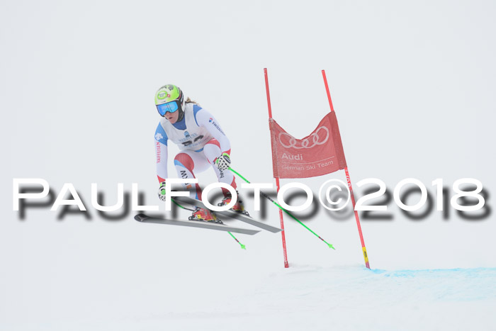 Int. FIS Rennen + NJC Damen, SG, Götschen, 22.02.2018