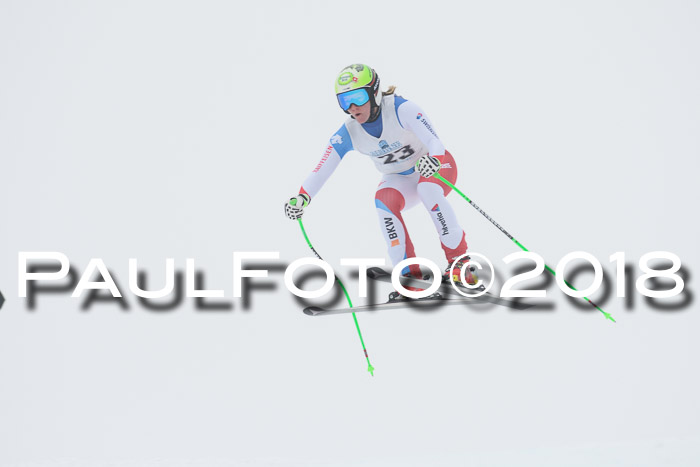 Int. FIS Rennen + NJC Damen, SG, Götschen, 22.02.2018