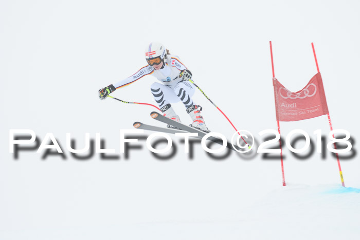 Int. FIS Rennen + NJC Damen, SG, Götschen, 22.02.2018