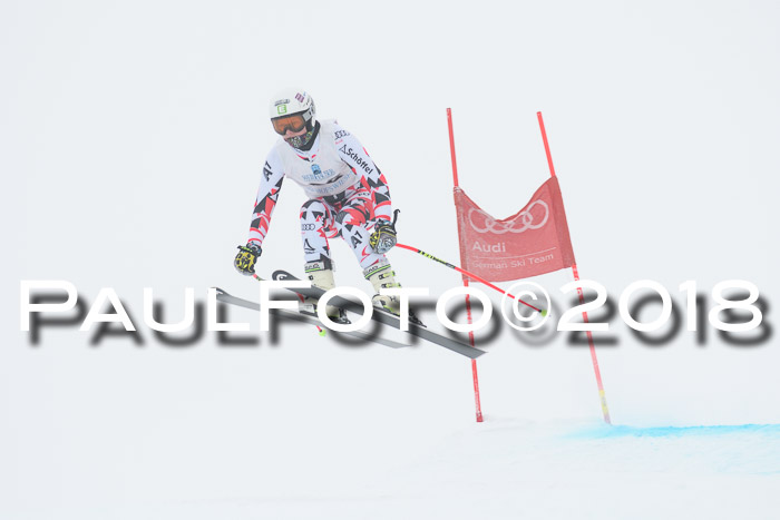 Int. FIS Rennen + NJC Damen, SG, Götschen, 22.02.2018