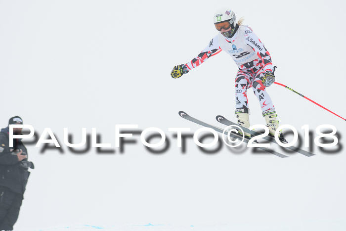 Int. FIS Rennen + NJC Damen, SG, Götschen, 22.02.2018