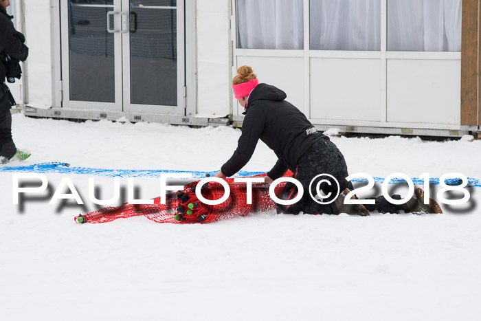 Int. FIS Rennen + NJC Damen, SG, Götschen, 22.02.2018
