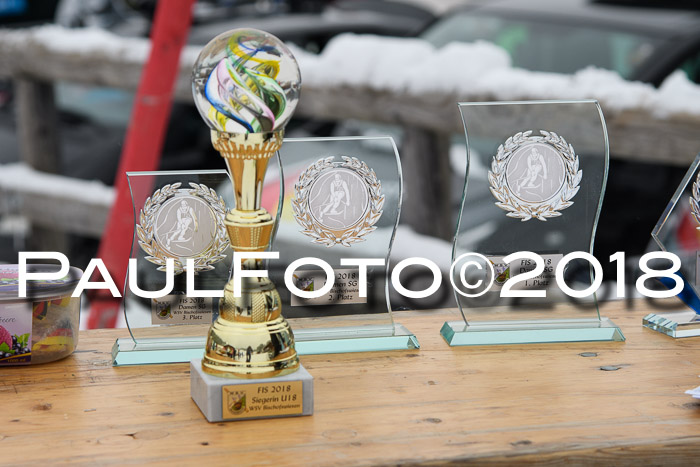 Int. FIS Rennen + NJC Damen, SG, Götschen, 22.02.2018