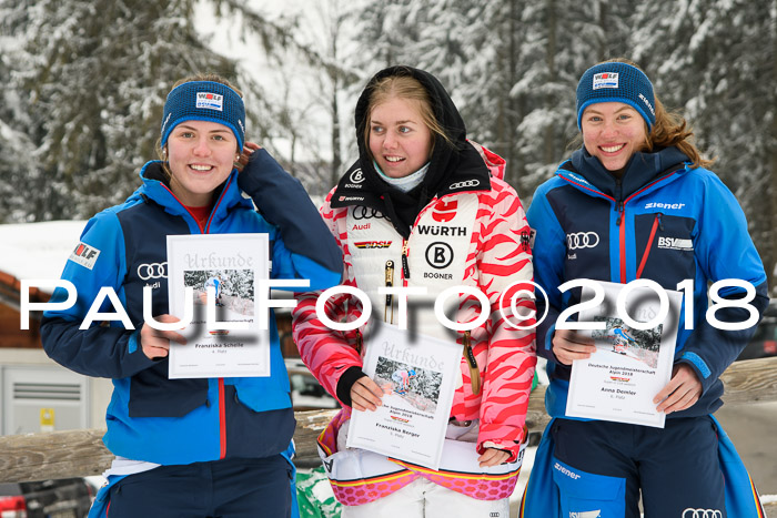 Int. FIS Rennen + NJC Damen, SG, Götschen, 22.02.2018
