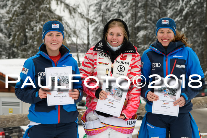 Int. FIS Rennen + NJC Damen, SG, Götschen, 22.02.2018