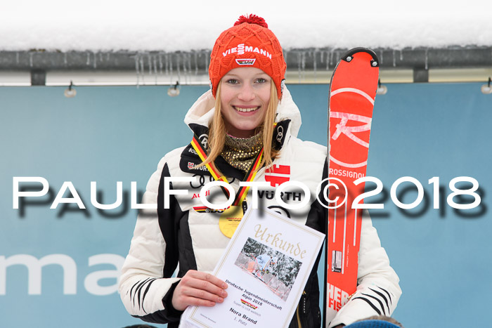 Int. FIS Rennen + NJC Damen, SG, Götschen, 22.02.2018