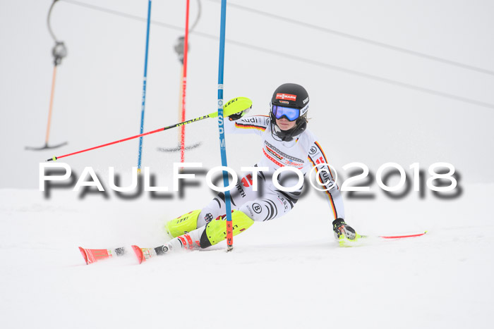 FIS Slalom Damen + Herren 23.02.2018