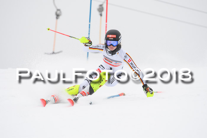 FIS Slalom Damen + Herren 23.02.2018