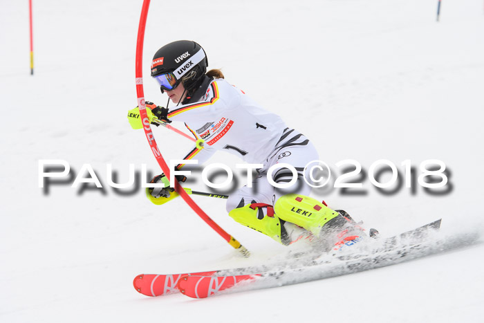 FIS Slalom Damen + Herren 23.02.2018