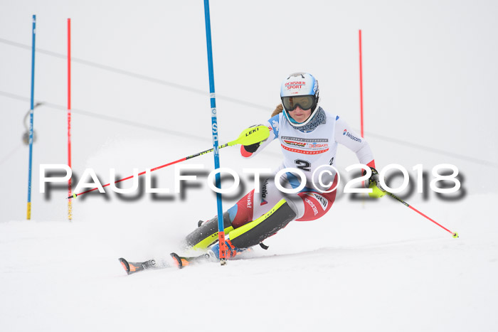 FIS Slalom Damen + Herren 23.02.2018