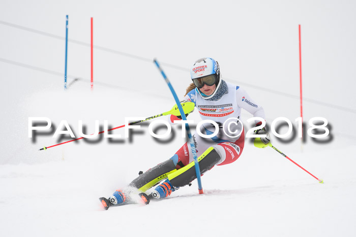 FIS Slalom Damen + Herren 23.02.2018