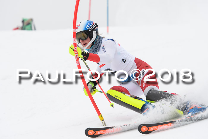 FIS Slalom Damen + Herren 23.02.2018