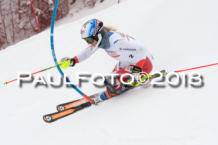 FIS Slalom Damen + Herren 23.02.2018