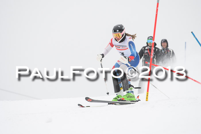 FIS Slalom Damen + Herren 23.02.2018