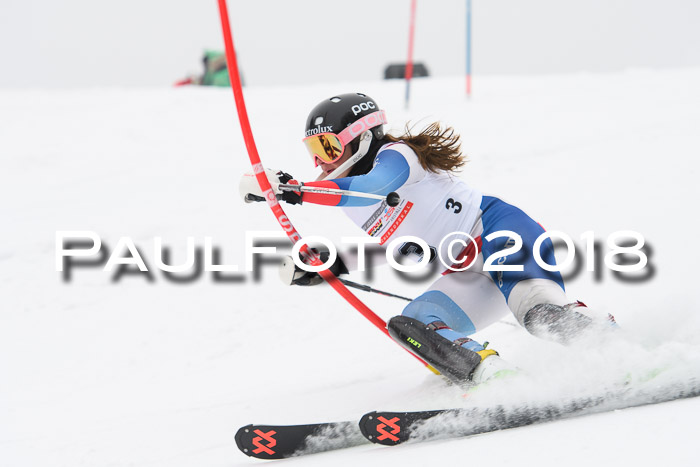 FIS Slalom Damen + Herren 23.02.2018