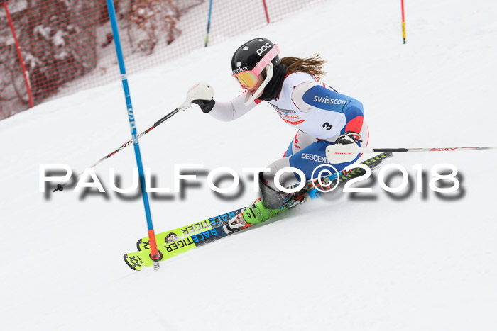 FIS Slalom Damen + Herren 23.02.2018