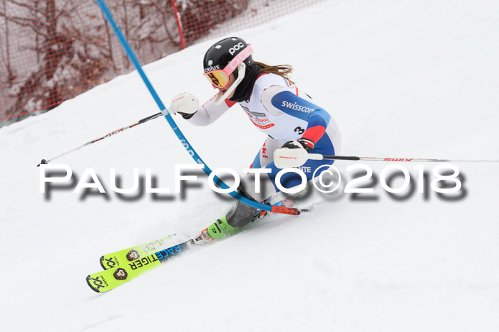 FIS Slalom Damen + Herren 23.02.2018