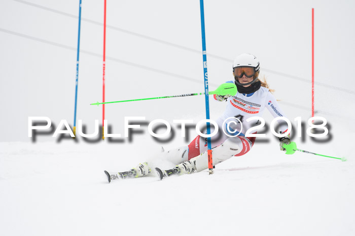 FIS Slalom Damen + Herren 23.02.2018