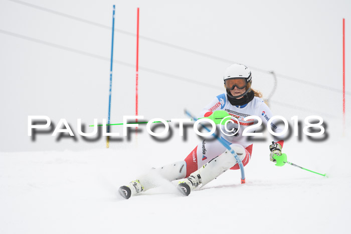 FIS Slalom Damen + Herren 23.02.2018