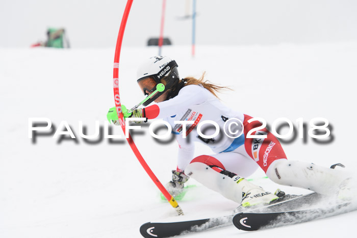 FIS Slalom Damen + Herren 23.02.2018