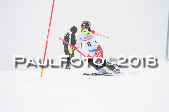 FIS Slalom Damen + Herren 23.02.2018