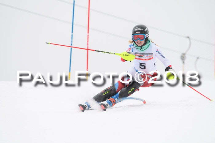 FIS Slalom Damen + Herren 23.02.2018