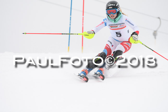 FIS Slalom Damen + Herren 23.02.2018