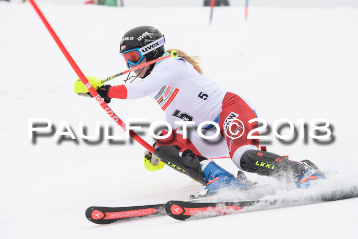 FIS Slalom Damen + Herren 23.02.2018