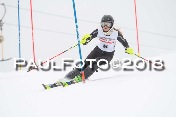 FIS Slalom Damen + Herren 23.02.2018