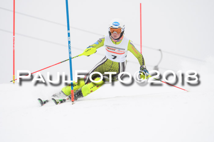 FIS Slalom Damen + Herren 23.02.2018