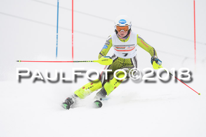 FIS Slalom Damen + Herren 23.02.2018