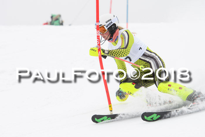 FIS Slalom Damen + Herren 23.02.2018