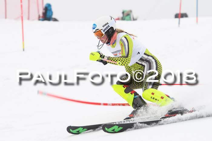 FIS Slalom Damen + Herren 23.02.2018