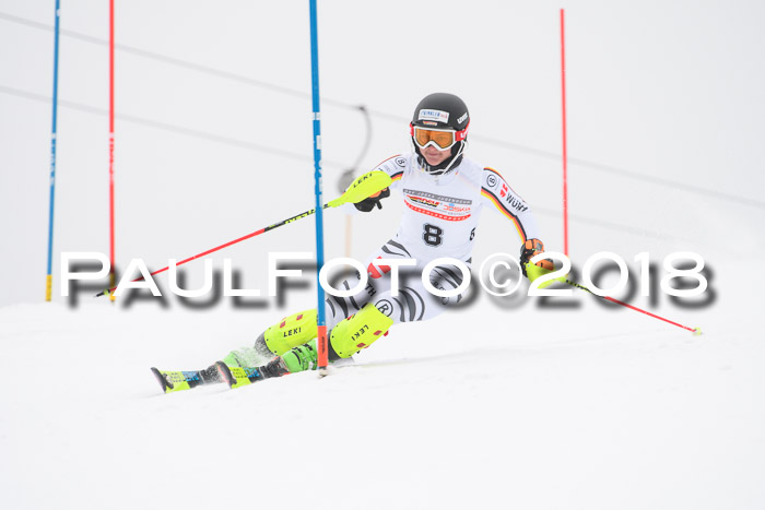 FIS Slalom Damen + Herren 23.02.2018