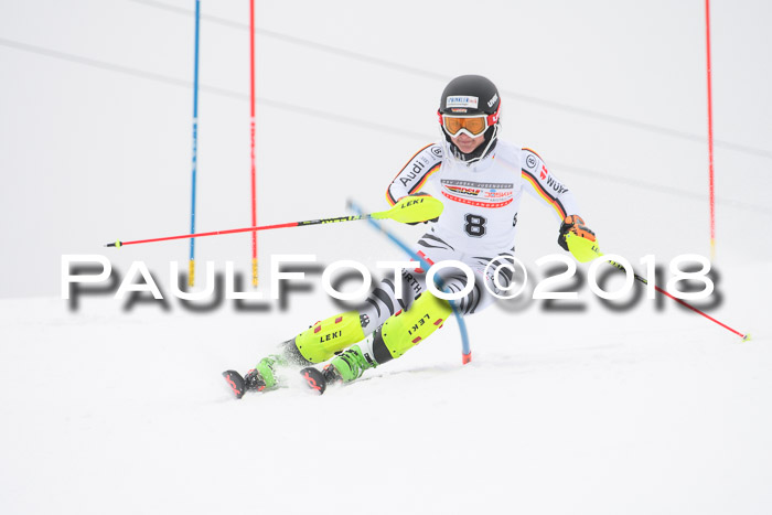 FIS Slalom Damen + Herren 23.02.2018