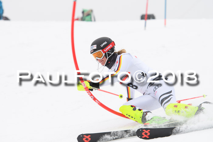 FIS Slalom Damen + Herren 23.02.2018