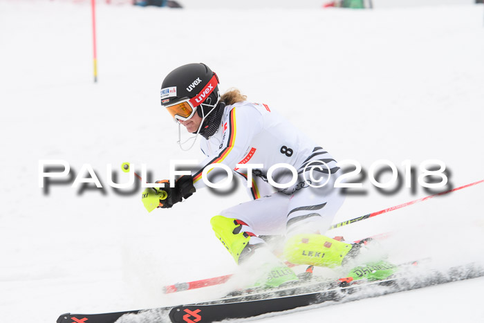 FIS Slalom Damen + Herren 23.02.2018