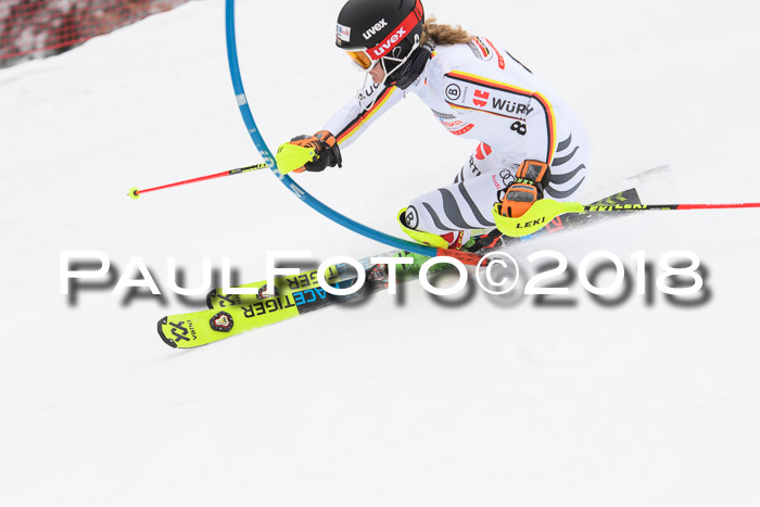 FIS Slalom Damen + Herren 23.02.2018