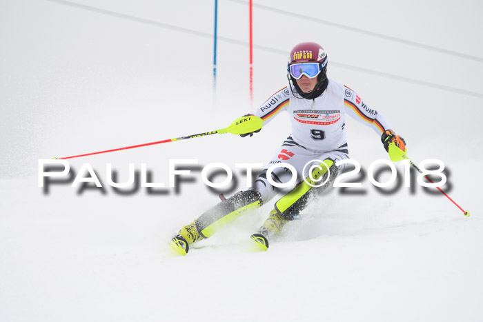 FIS Slalom Damen + Herren 23.02.2018